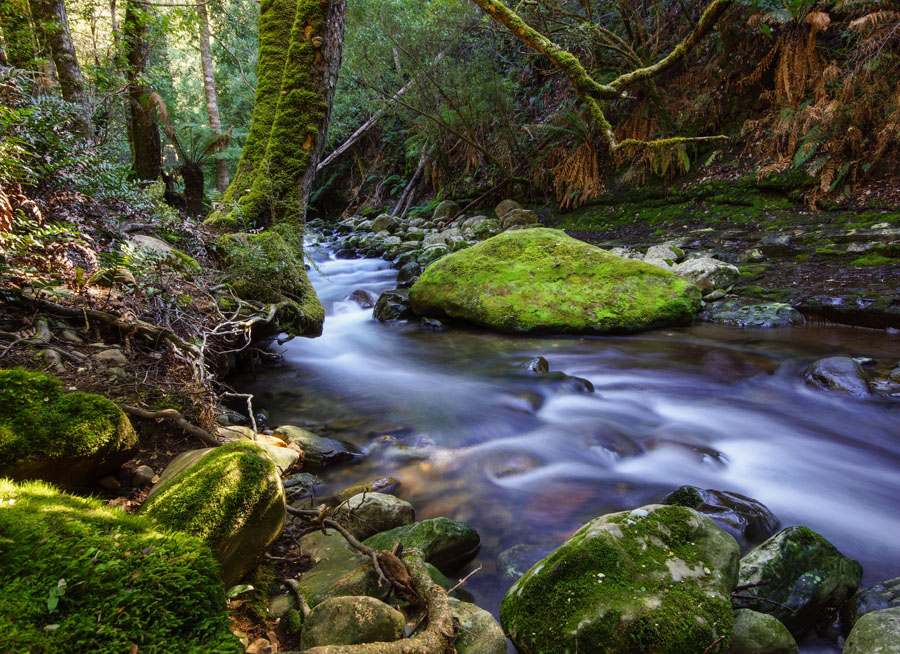 Click image for larger version

Name:	Liffey river rapids.jpg
Views:	36
Size:	268.9 KB
ID:	390685