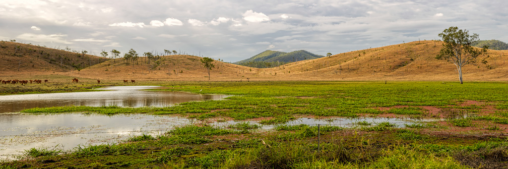 Click image for larger version

Name:	Wetlands-Pano---web.jpg
Views:	21
Size:	228.6 KB
ID:	390866