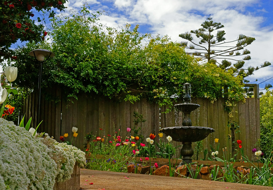 Click image for larger version

Name:	Country Garden.jpg
Views:	19
Size:	313.4 KB
ID:	393558