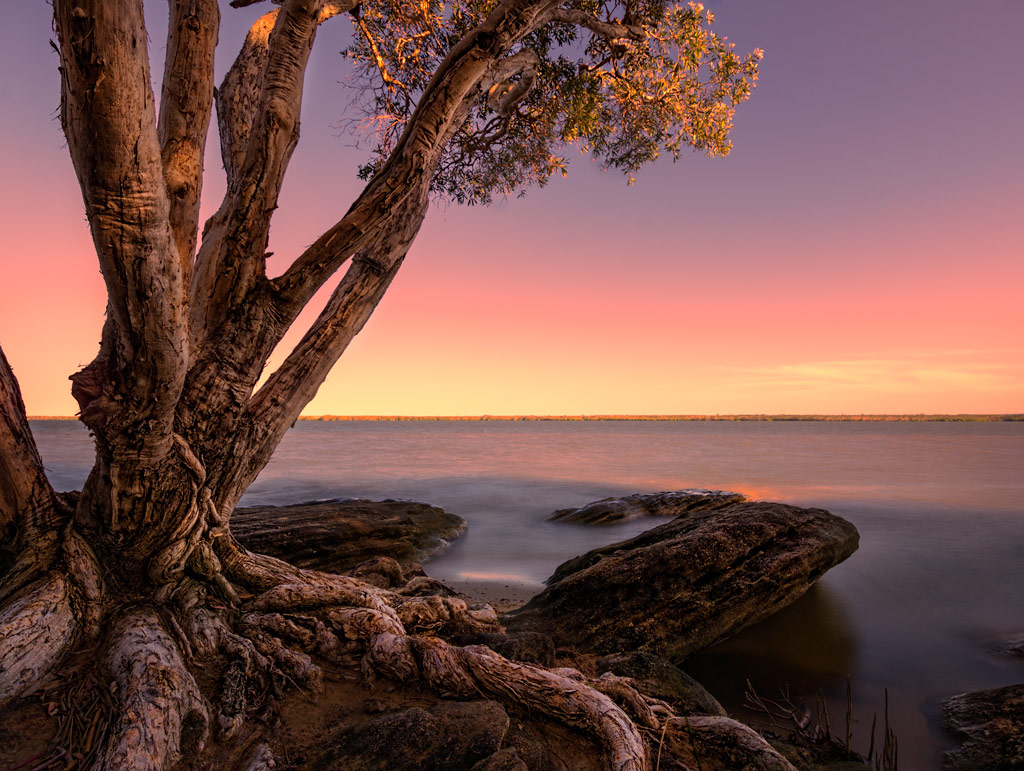 Click image for larger version

Name:	173-sunset-tree.jpg
Views:	38
Size:	224.0 KB
ID:	395538