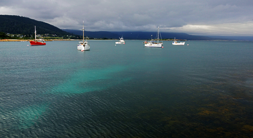 Click image for larger version

Name:	Boats in the bay.jpg
Views:	31
Size:	442.2 KB
ID:	403749