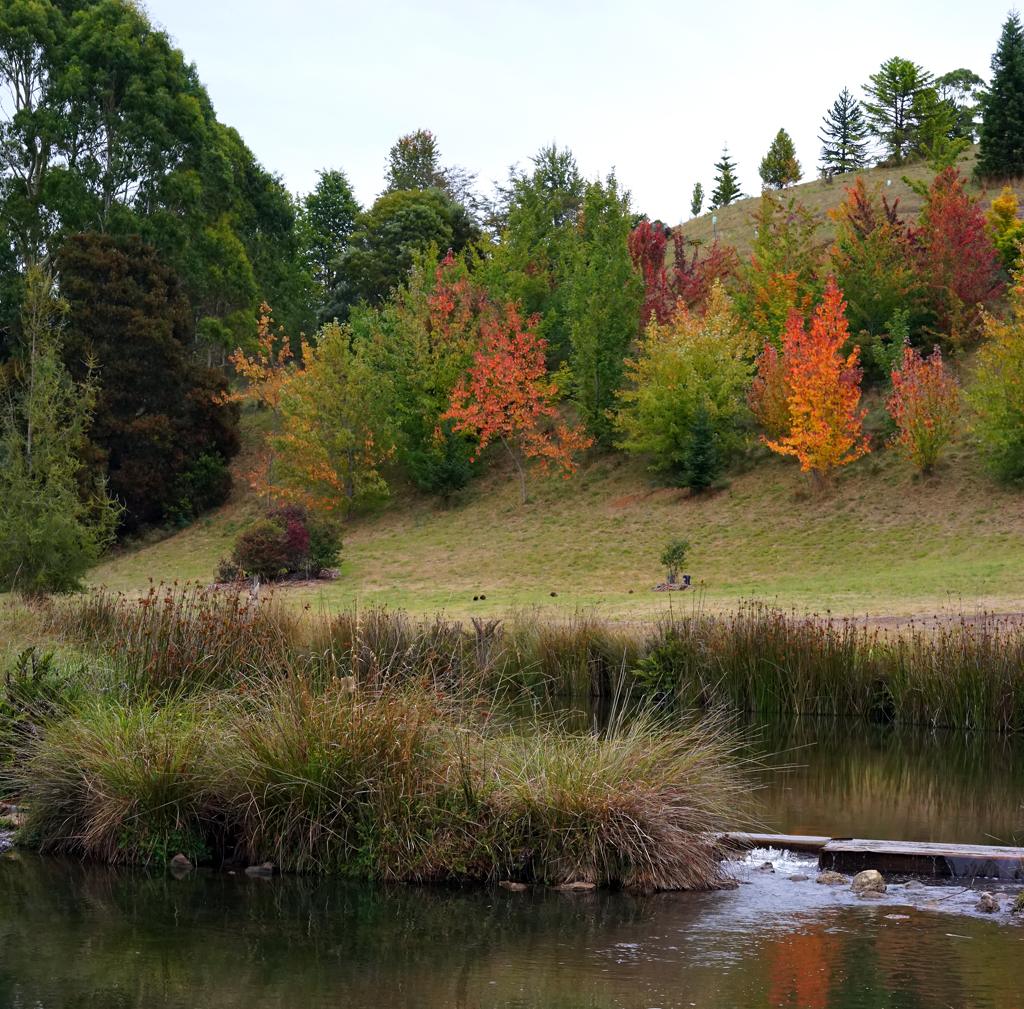 Click image for larger version

Name:	Autumn colours.jpg
Views:	47
Size:	1.09 MB
ID:	406034