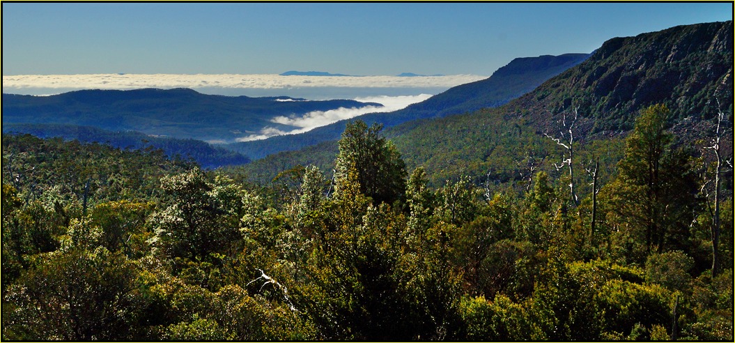 Click image for larger version

Name:	Clouded valley 2a.jpg
Views:	14
Size:	251.5 KB
ID:	408556