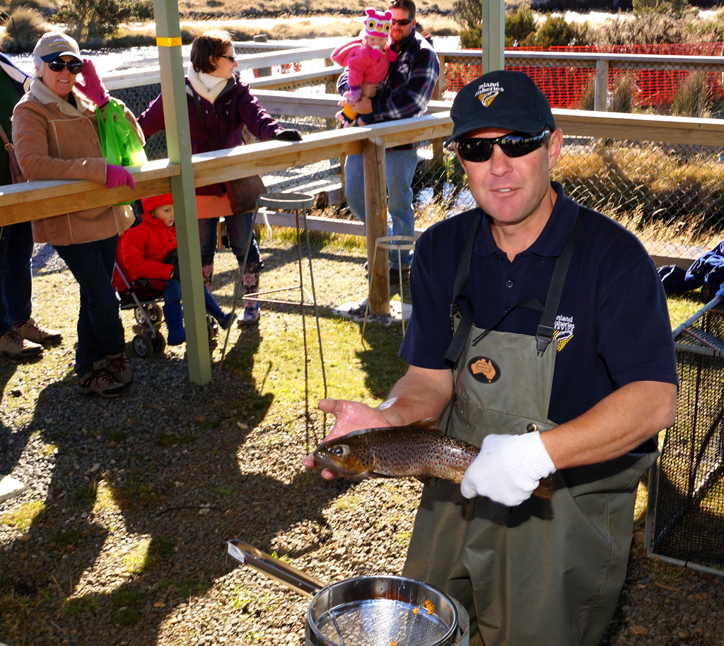 Click image for larger version

Name:	Stripping trout.jpg
Views:	32
Size:	1.09 MB
ID:	408679