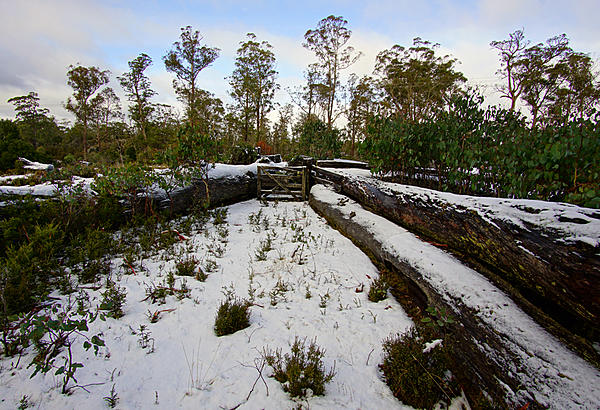 Click image for larger version

Name:	Cattle yard.jpg
Views:	58
Size:	940.3 KB
ID:	409161