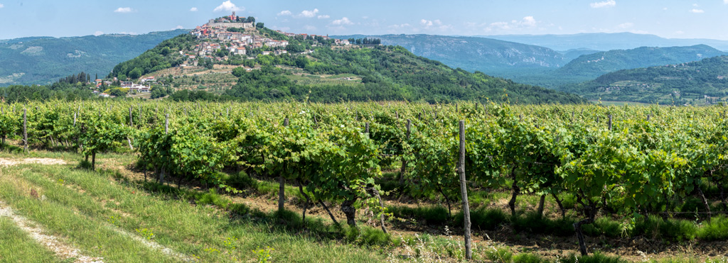 Click image for larger version

Name:	Motovun-pano.jpg
Views:	31
Size:	241.7 KB
ID:	410737