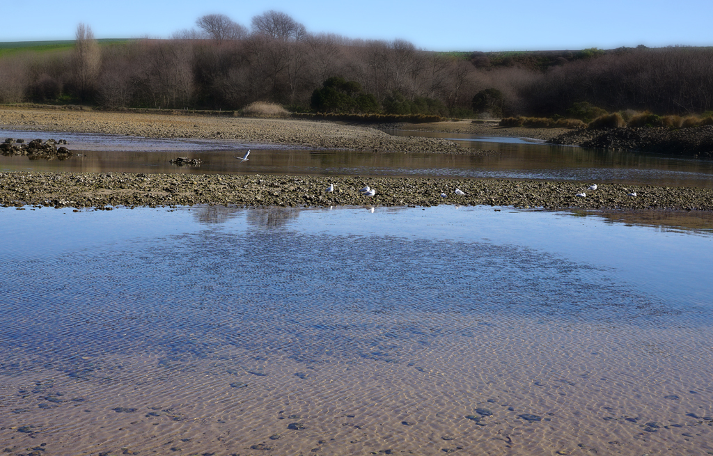 Click image for larger version

Name:	Gulls.jpg
Views:	27
Size:	789.0 KB
ID:	411252