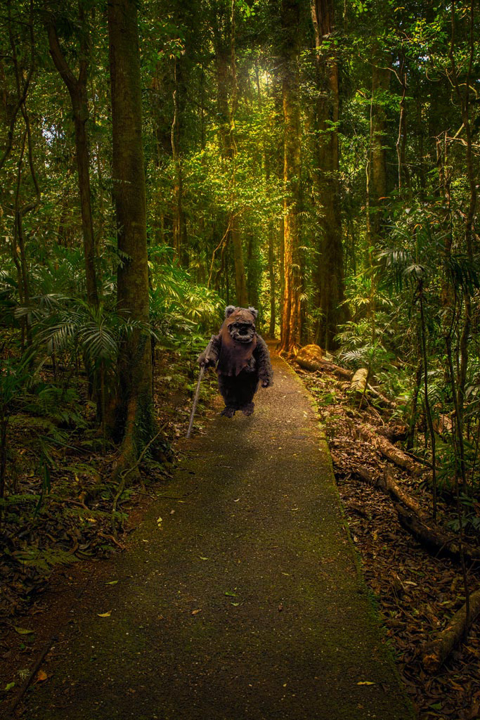 Click image for larger version

Name:	Rainforest copy &amp; ewok flare.jpg
Views:	27
Size:	458.4 KB
ID:	415991