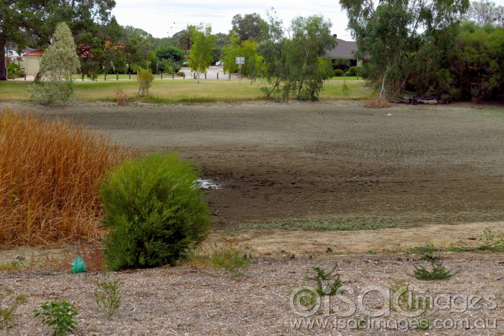 Click image for larger version

Name:	01- Dry Lake - Wattle Grove WA - Small.jpg
Views:	29
Size:	249.6 KB
ID:	420313