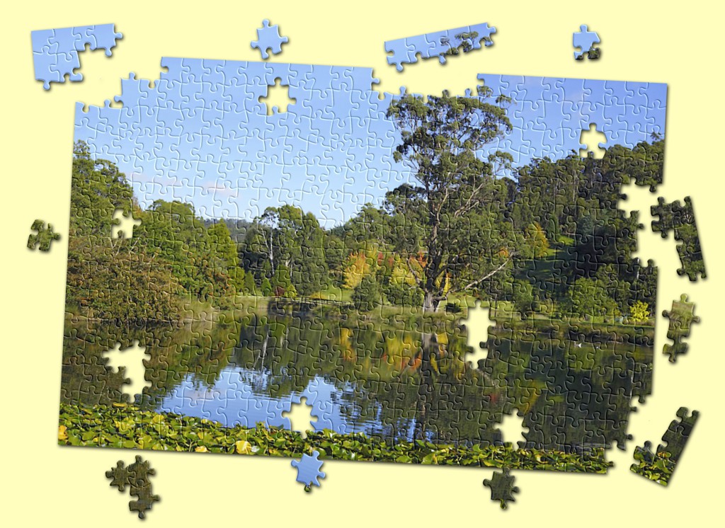 Click image for larger version

Name:	Seaslug-Autumn Colours JIGSAW.jpg
Views:	52
Size:	236.3 KB
ID:	421070