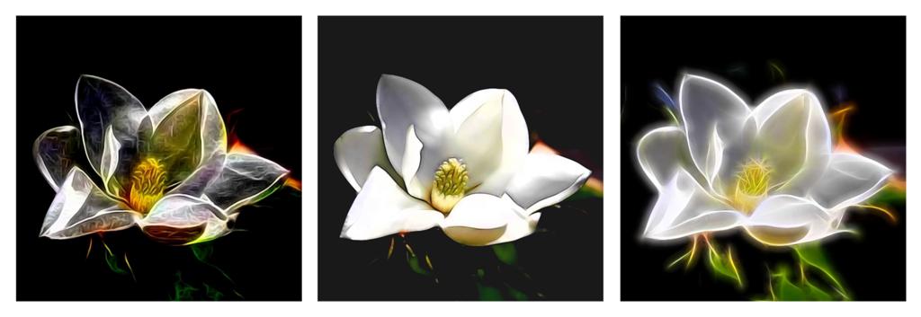 Click image for larger version

Name:	Tryptic-Magnolias-2 small.jpg
Views:	32
Size:	44.6 KB
ID:	423890