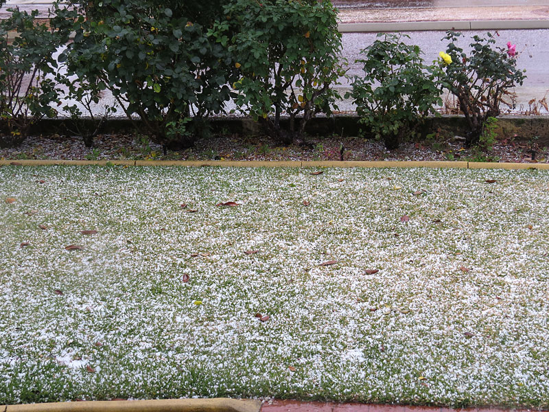 Click image for larger version

Name:	Hailstorm-4.jpg
Views:	44
Size:	258.6 KB
ID:	426136