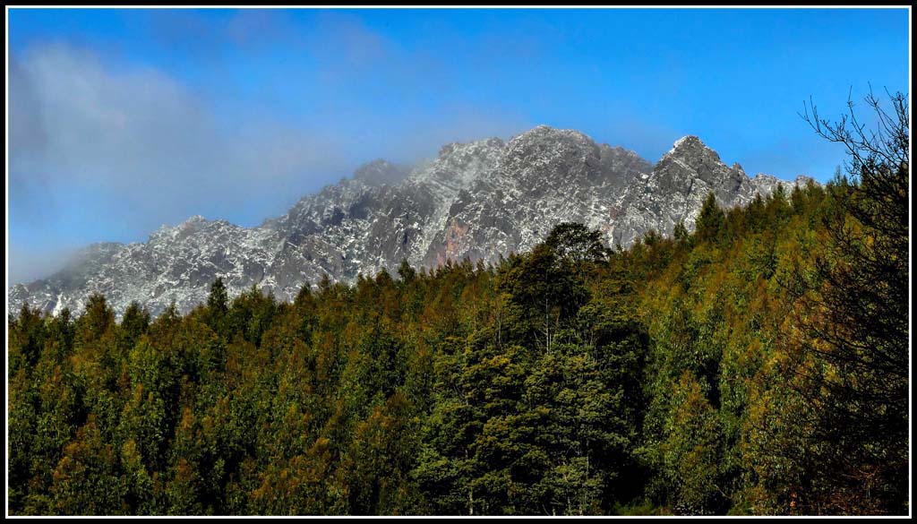 Click image for larger version

Name:	Mt Roland from Staverton.jpg
Views:	23
Size:	153.1 KB
ID:	427051