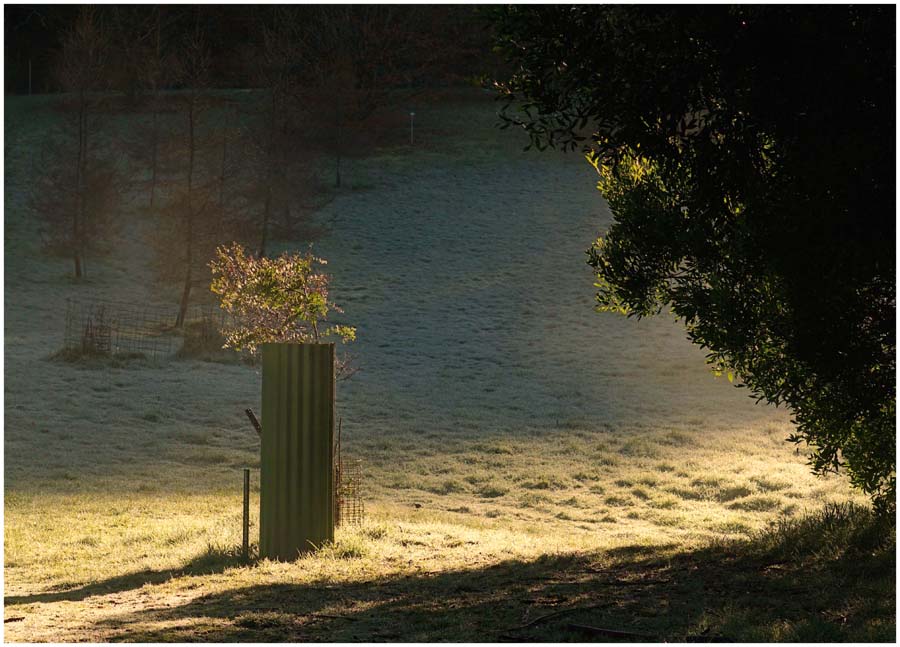 Click image for larger version

Name:	Frost light.JPG
Views:	30
Size:	116.9 KB
ID:	427554