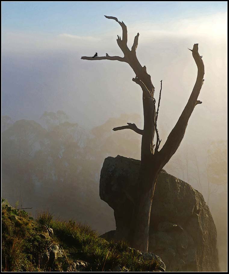 Click image for larger version

Name:	Tree and rock.jpg
Views:	24
Size:	83.4 KB
ID:	428135