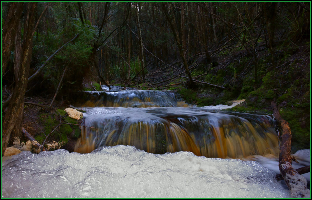 Click image for larger version

Name:	Bubbles-on-Myrtle-Creek.jpg
Views:	22
Size:	173.1 KB
ID:	431809