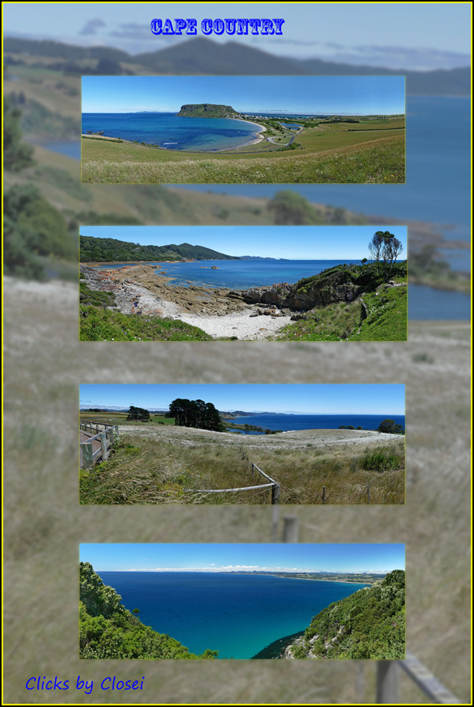 Click image for larger version

Name:	Cape-Country.jpg
Views:	30
Size:	535.3 KB
ID:	436454