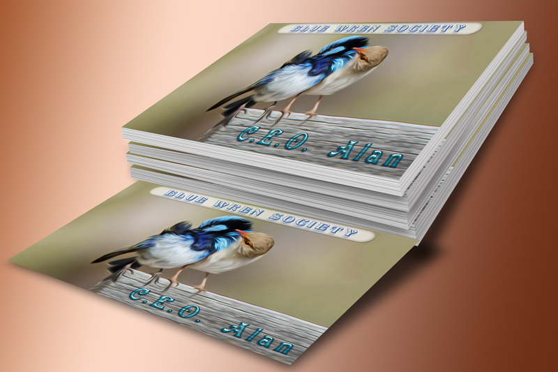 Click image for larger version

Name:	Blue-Wren-Society-BizCards.jpg
Views:	416
Size:	197.1 KB
ID:	440496