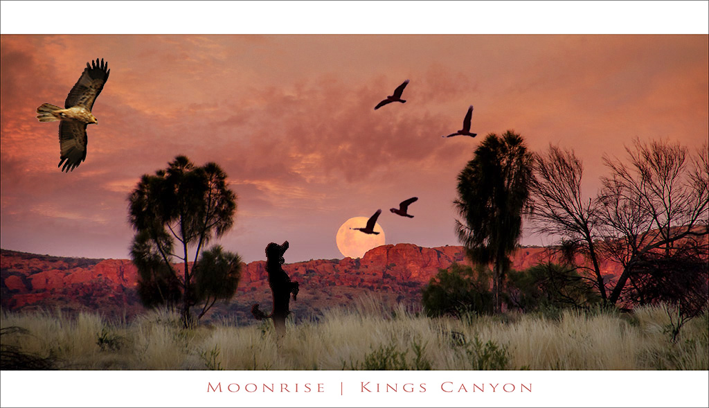 Click image for larger version

Name:	alan-moonrise-kings-canyon.jpg
Views:	24
Size:	194.5 KB
ID:	442069