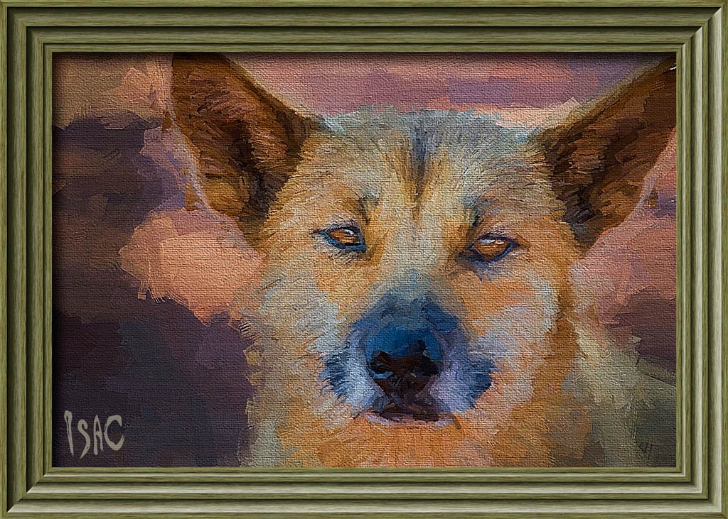 Click image for larger version

Name:	Dingo-Oil-Framed.jpg
Views:	50
Size:	197.6 KB
ID:	442731