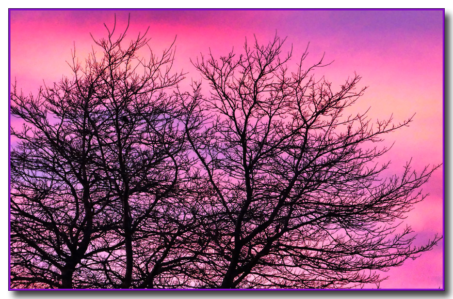 Click image for larger version

Name:	Sunset on tree .jpg
Views:	16
Size:	383.3 KB
ID:	444117