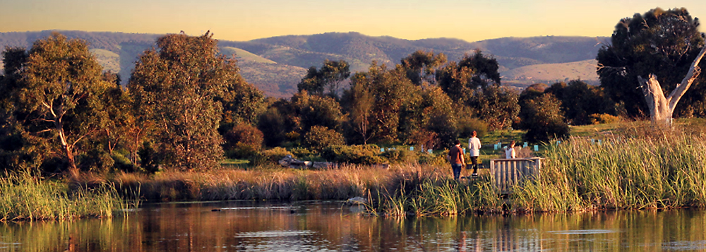 Click image for larger version

Name:	evening stroll in the wet lands 2.jpg
Views:	44
Size:	469.0 KB
ID:	445337