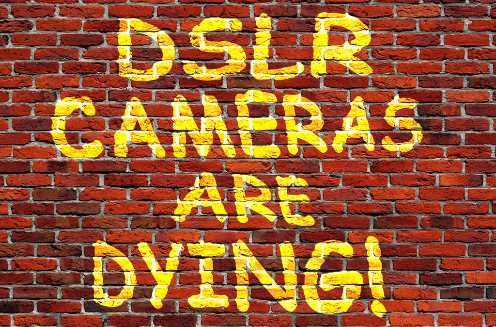 Click image for larger version

Name:	DSLR-Dying.jpg
Views:	85
Size:	240.5 KB
ID:	455658