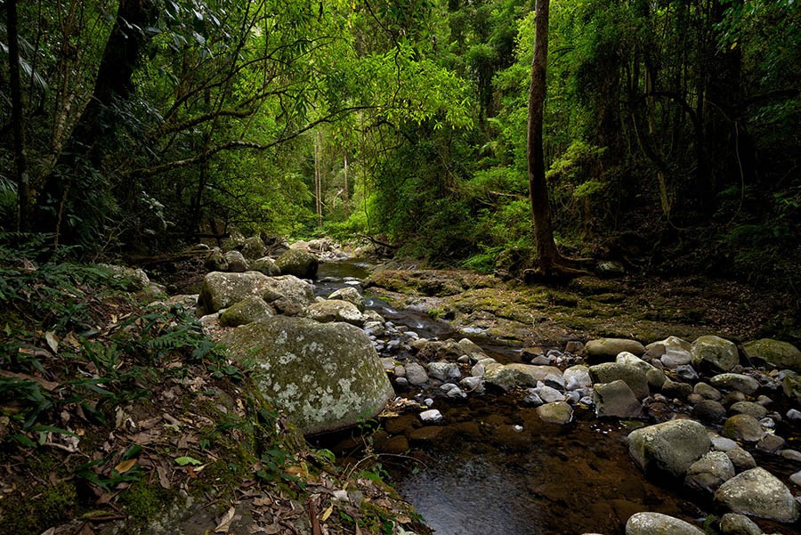 West Canungra Creek