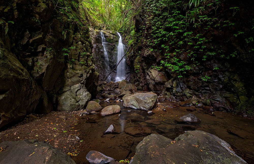 Box Log Falls