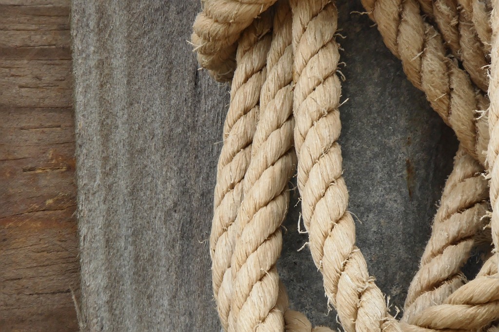 Click image for larger version

Name:	Old Rope for APH Forum.jpg
Views:	39
Size:	228.2 KB
ID:	461836