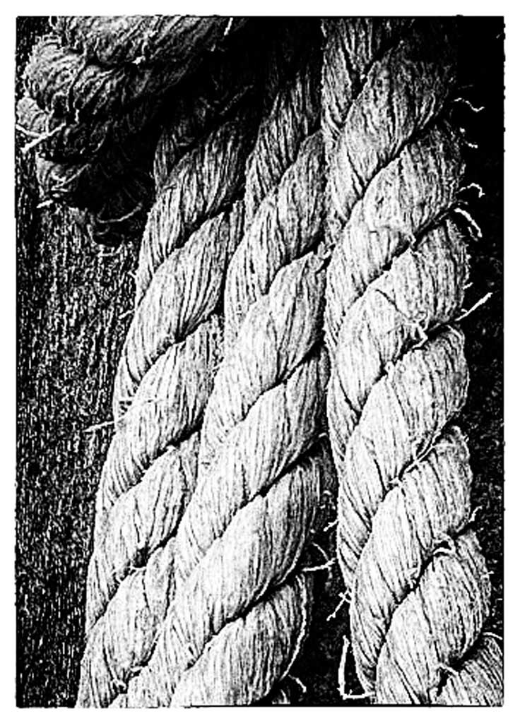 Click image for larger version  Name:	Phil's Rope.jpg Views:	1 Size:	247.2 KB ID:	461839