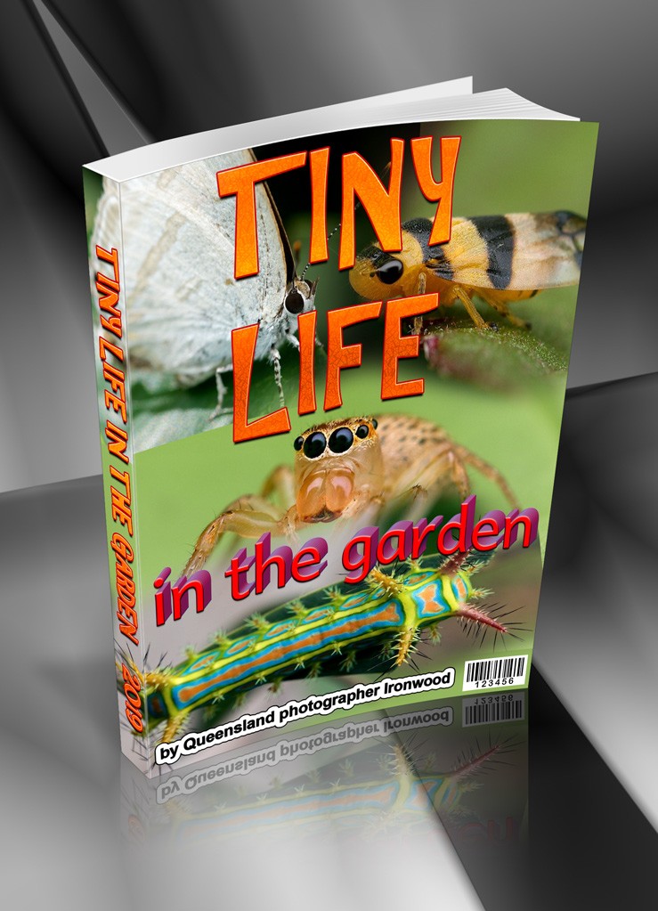 Click image for larger version

Name:	Tiny-Life-Paperback-BOOK.jpg
Views:	41
Size:	160.7 KB
ID:	462942