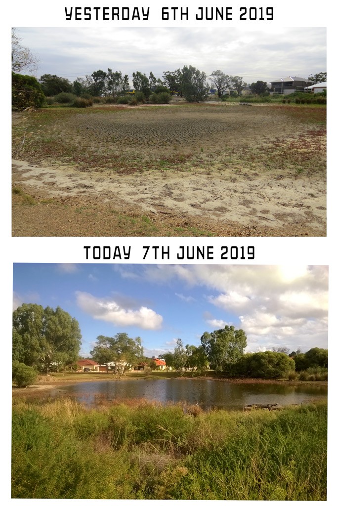 Click image for larger version

Name:	Yesterday-Today-LAKE.jpg
Views:	13
Size:	220.4 KB
ID:	464678