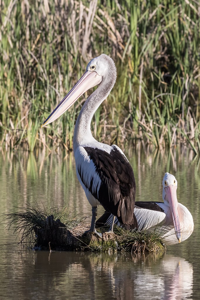 Click image for larger version

Name:	Mildura Trip 2019_0070.jpg
Views:	32
Size:	231.3 KB
ID:	466935