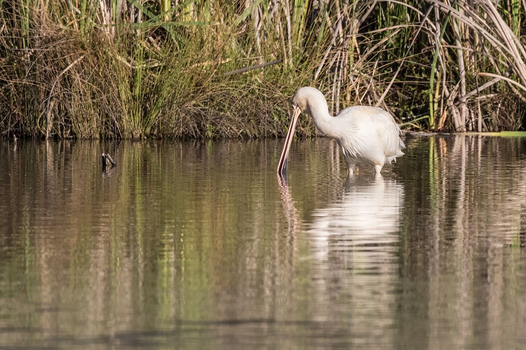 Click image for larger version

Name:	Mildura Trip 2019_0076.jpg
Views:	31
Size:	230.3 KB
ID:	466937