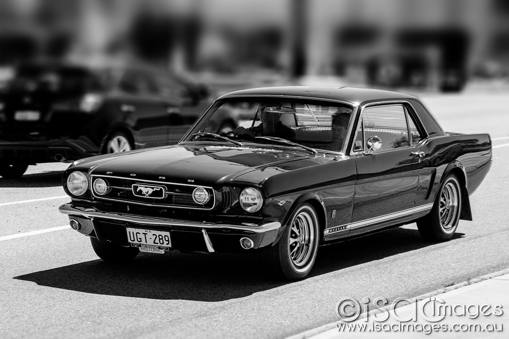 Click image for larger version

Name:	Mustang-B&amp;W.jpg
Views:	70
Size:	365.0 KB
ID:	467373