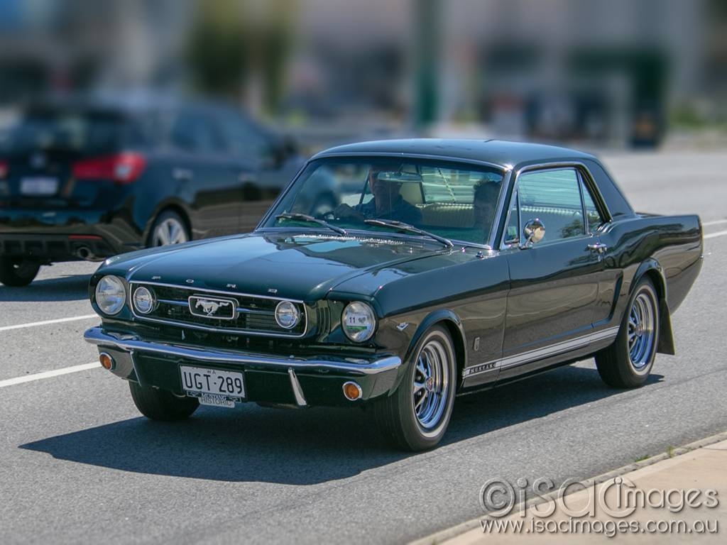 Click image for larger version

Name:	Mustang-COL-1024.jpg
Views:	79
Size:	300.8 KB
ID:	467374