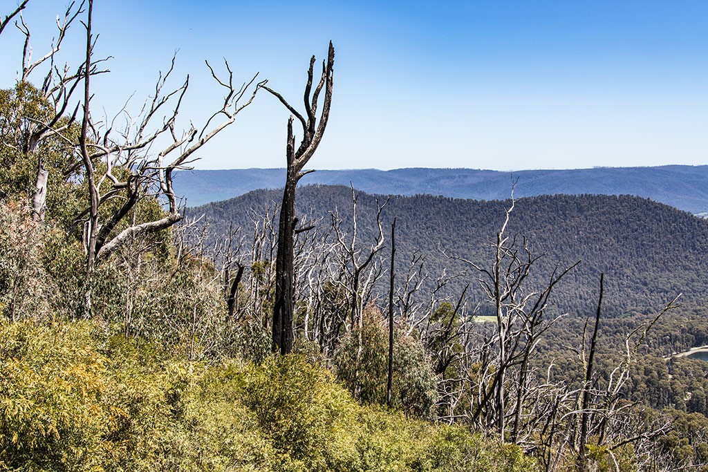 Click image for larger version

Name:	Keppel Lookout.jpg
Views:	80
Size:	328.4 KB
ID:	467479