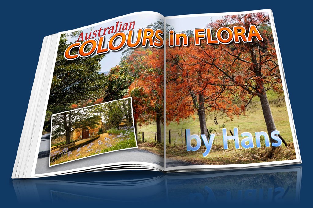 Click image for larger version

Name:	Australian_Colours_Hans_MAGAZINE.jpg
Views:	39
Size:	230.5 KB
ID:	468675