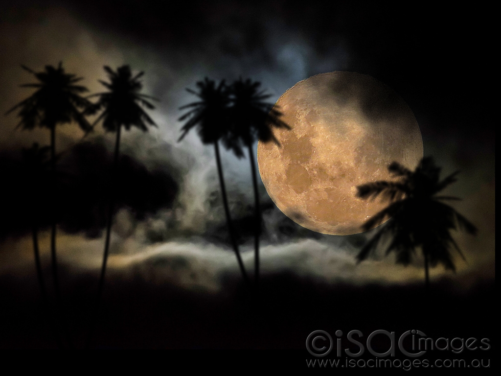 Click image for larger version

Name:	2054-Super_Moon_Trees.jpg
Views:	78
Size:	345.8 KB
ID:	470808