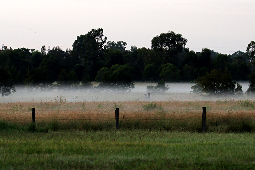 Click image for larger version

Name:	Misty morning.jpg
Views:	21
Size:	377.5 KB
ID:	469882