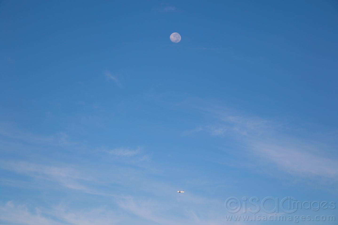 Click image for larger version

Name:	027A5064-Moon_&amp;_Plane.jpg
Views:	115
Size:	37.0 KB
ID:	478693