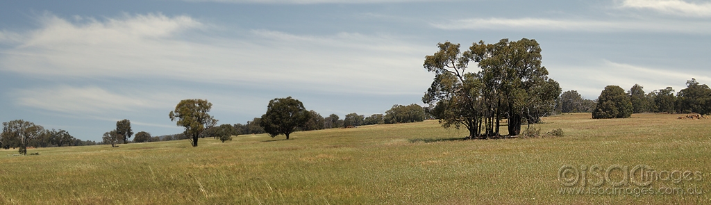 Click image for larger version

Name:	2062-Toodyay_Field.jpg
Views:	38
Size:	247.0 KB
ID:	474230