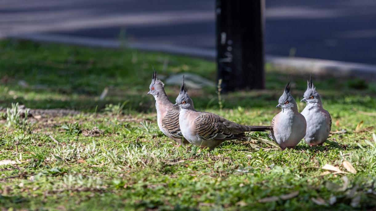 Click image for larger version

Name:	Basking in the sun.jpg
Views:	86
Size:	120.4 KB
ID:	480037