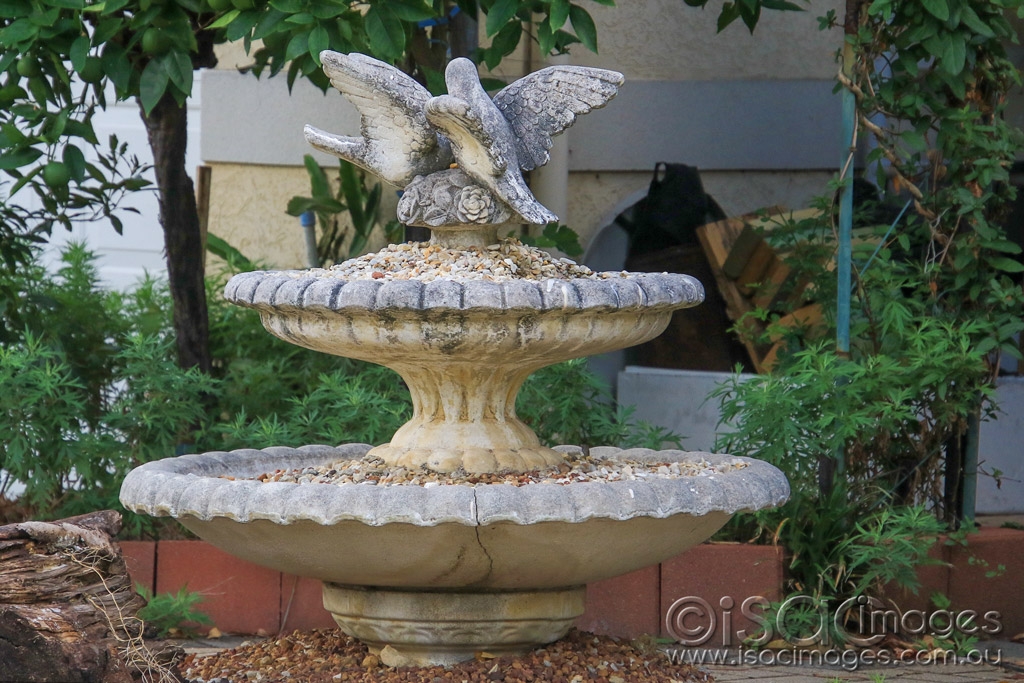 Click image for larger version  Name:	5874-Bird_Bath.jpg Views:	0 Size:	534.1 KB ID:	476127