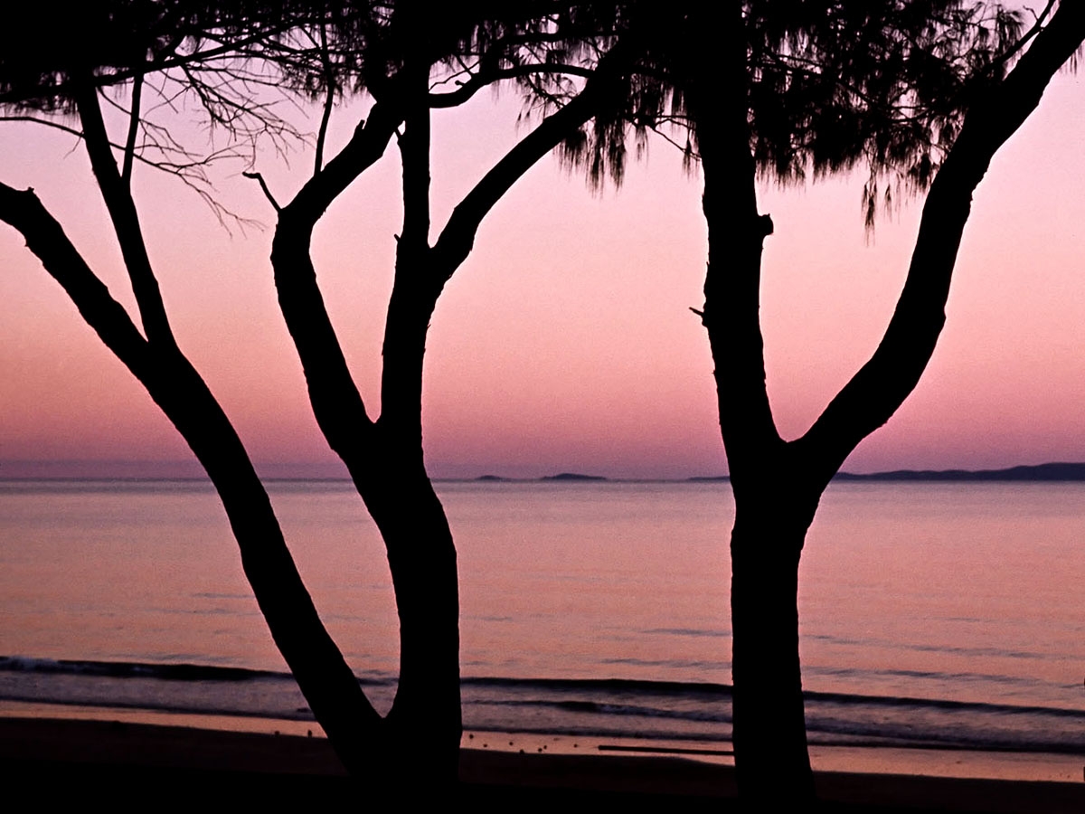 Click image for larger version

Name:	Dusk3Trees_sml.jpg
Views:	65
Size:	458.6 KB
ID:	480823