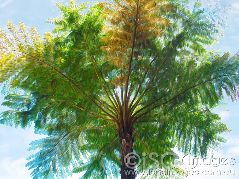 Click image for larger version

Name:	AP-Palm-Tree-Painting.jpg
Views:	75
Size:	198.6 KB
ID:	417444