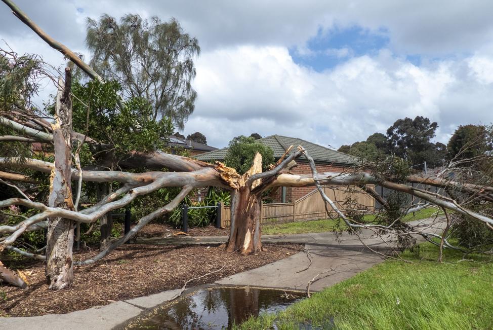 Click image for larger version

Name:	Storm Damage 3.jpg
Views:	44
Size:	141.0 KB
ID:	481258