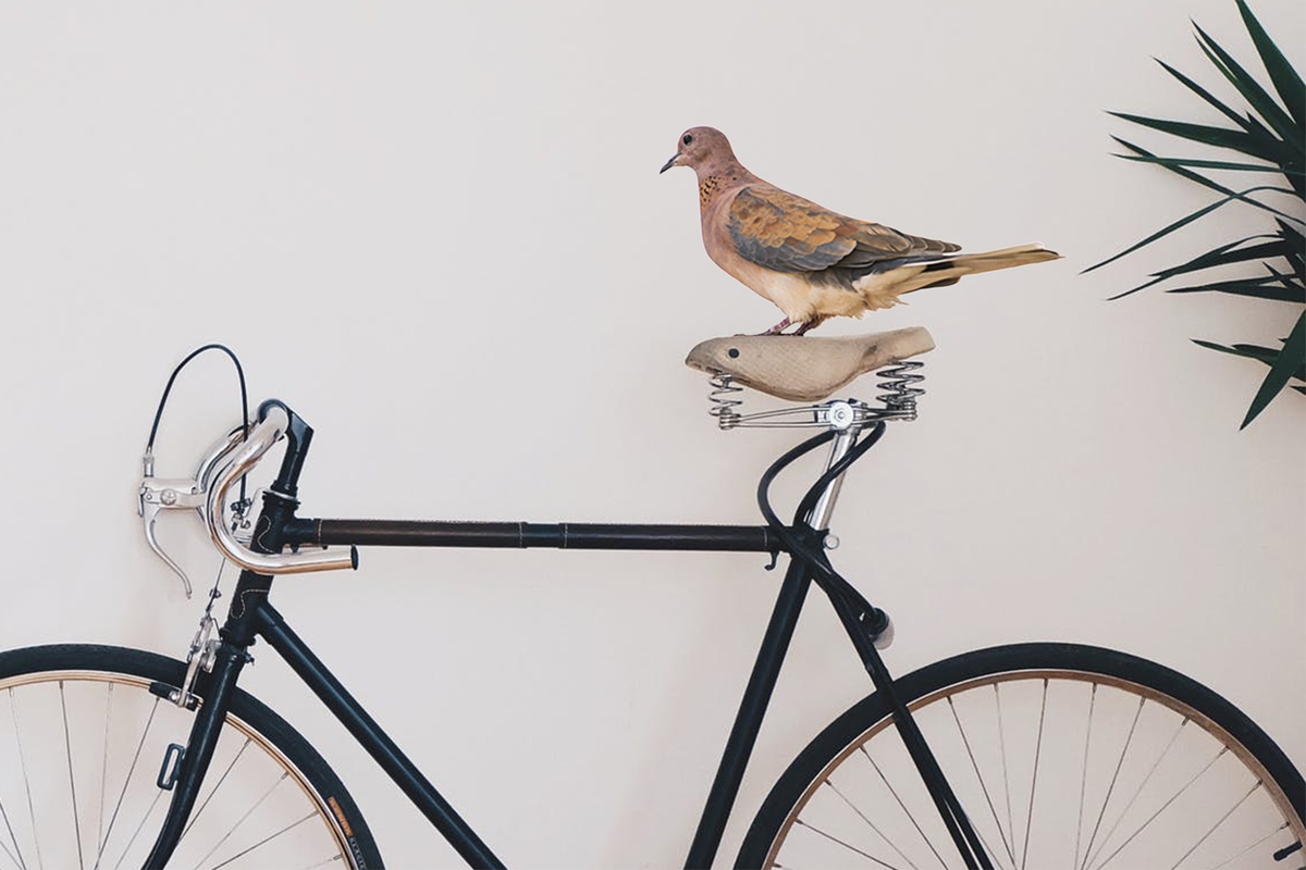 Click image for larger version

Name:	4459-Laughing_Dove-BIKE.jpg
Views:	70
Size:	314.2 KB
ID:	482928