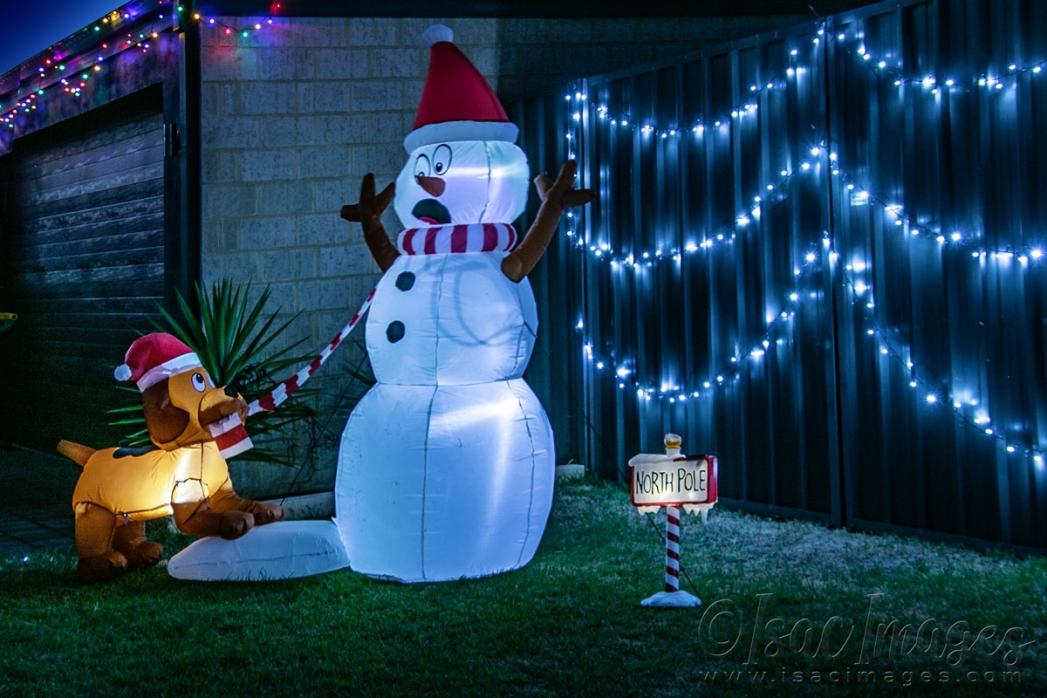 Click image for larger version

Name:	4858-Christmas_Lights.jpg
Views:	78
Size:	105.6 KB
ID:	483075